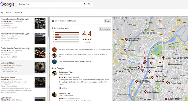 Avis Google Maps