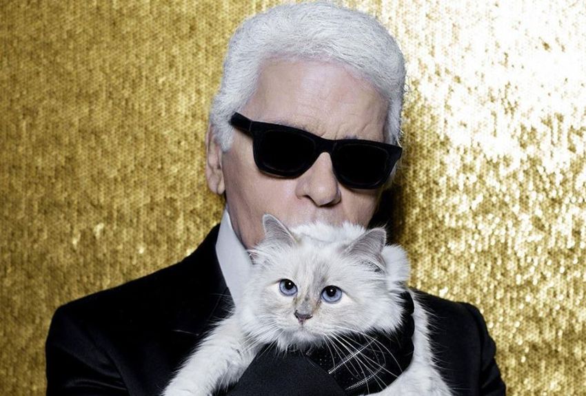 karl lagerfeld choupette instagram sur luxe infinity