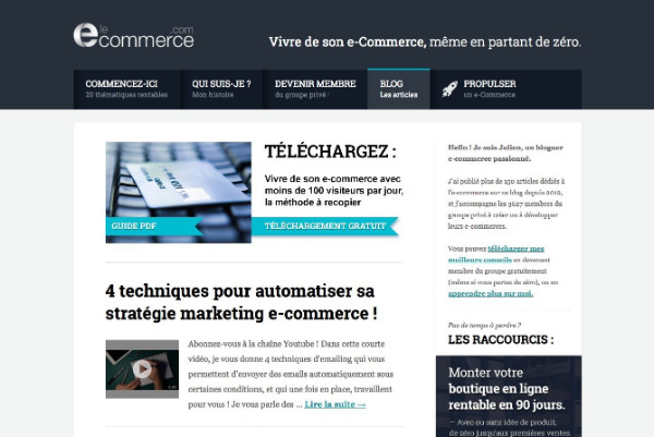 Le ecommerce