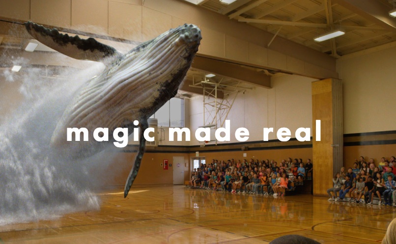 magic-leap