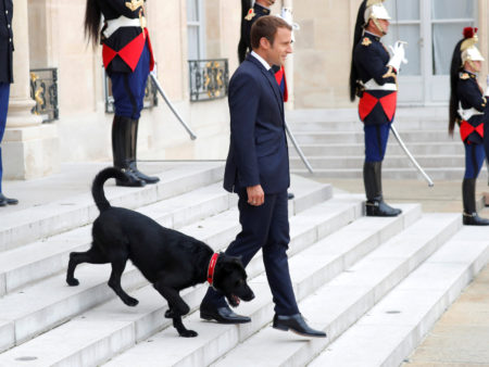 Emmanuel Macron donne une bonne raison de continuer à lire même quand on a un emploi du temps surchargé